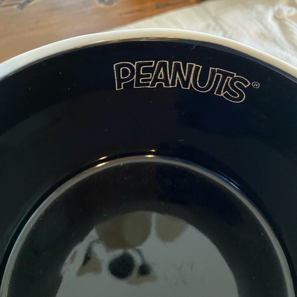 NWT Rae Dunn X Peanuts “SPOOKED POOCH” Soup size Mug - Picture 7 of 9